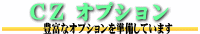 �b�y�V���[�Y�@�L�x�ȃI�v�V����